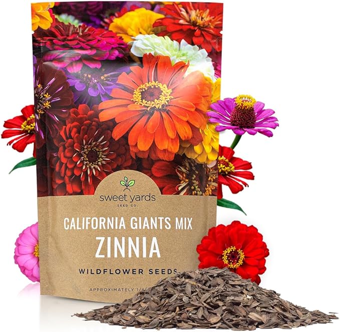 Bulk Zinnia Seeds - California Giants Mix - Bulk 1/4 Pound Bag Over 12,000 Flower Seeds - Mixed Colors and Large Blooms