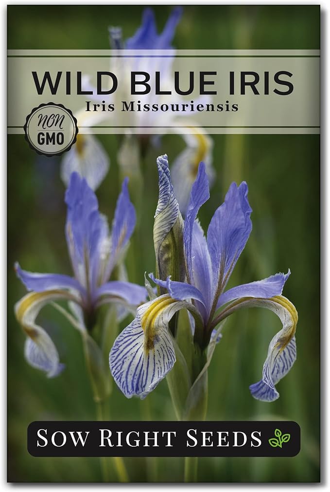 Sow Right Seeds - Wild Blue Iris Flower Seeds for Planting - Florist Favorites - Beautiful Flowers to Plant in Your Garden - Non-GMO Heirloom Seeds - Native Perennial - Wonderful Gardening Gifts (1)