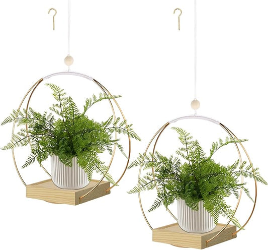 Hanging Planters for Indoor Plants, Plant Hanger with Sturdy Wood Base,Modern Boho Macrame Plant Hanger,Wall Ceiling Window Stands(Plants/Pots Not Included)