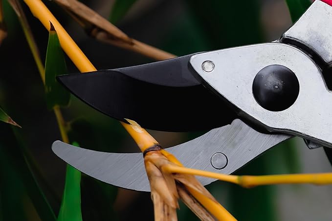 Raysbee Premium Plant Cutting 8' Professional Garden Bypass Pruner,Ergonomic,Rust-Resistant,Sharp Heavy duty Carbon Steel Blade, 1/2" Cutting, Non-slip Grip, Garden Scissors, Clippers, Shears