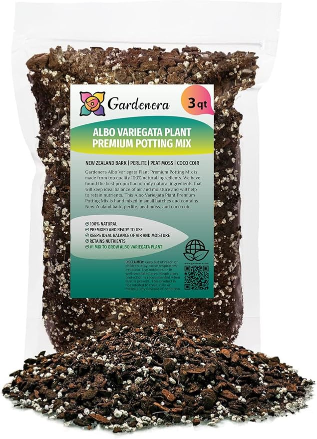 Albo Variegata Soil Blend - Hand-Crafted with The Finest Ingredients for Vibrant Foliage - 3 Quart