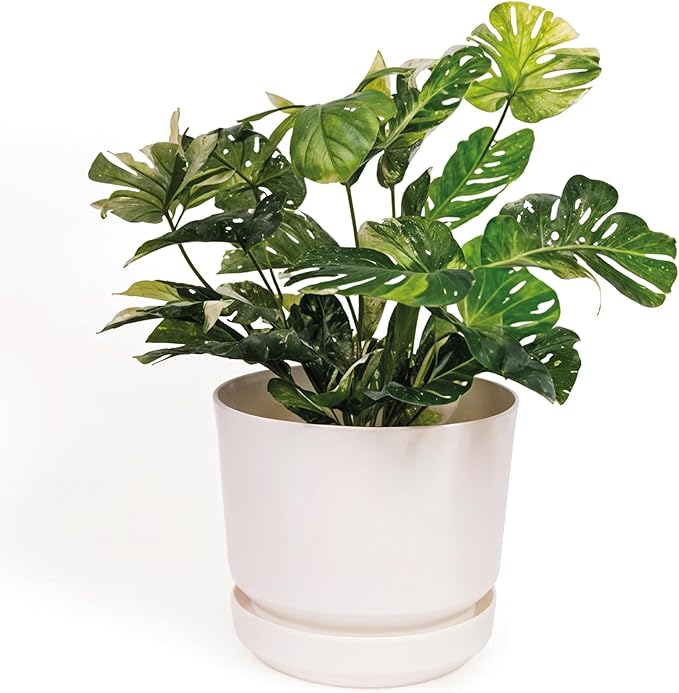 Elly Décor 14 inch Plastic Cylinder Planter Pot with Self-Watering Saucer and Drainage Hole,Lightweight & Extremely Durable, 14"x 14", White