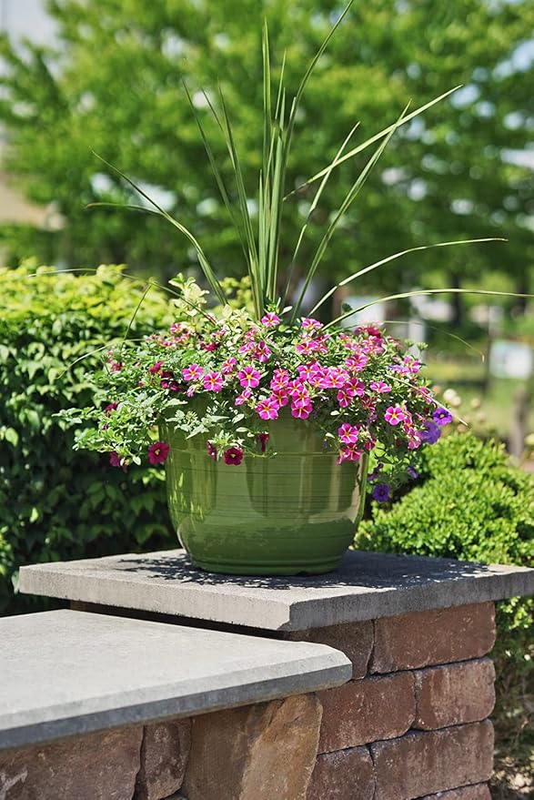 Garden Elements Indoor/Outdoor Glazed Brushed Happy Plastic Planter, Large, Dark Green, 15" (Pack of 2)