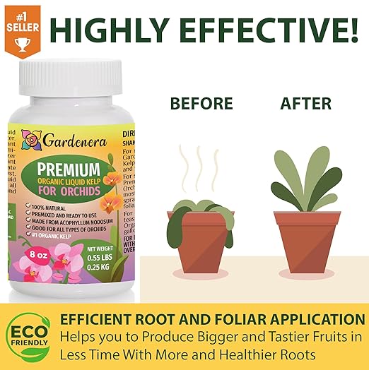 Orchid-Specific Organic Liquid Kelp Fertilizer - 32 oz - Nourish Your Orchids with Seaweed Power