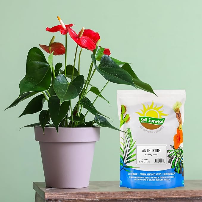 Anthurium Plant Potting Soil Mix (4 Quarts), Indoor Houseplant Custom Blend for Flowering Anthuriums