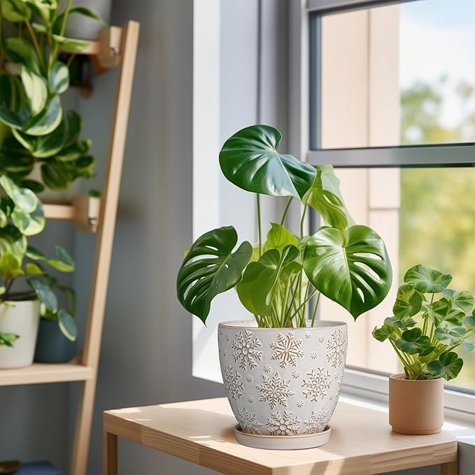 6 Inch Plant Pot with Drainage Hole and Saucer Ceramic Planter for Indoor Plant Flower Pot for Orchid Succulents Plants White