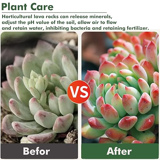 11 Pounds Mix Horticultural Lava Rocks, 5-8 mm Lava Rocks for Plants, Bonsai Rocks Horticultural Grit Soil Cover Gravel for Succulents and Hydroponics, Fairy Gardening, Top Dressing, Plant Drainage