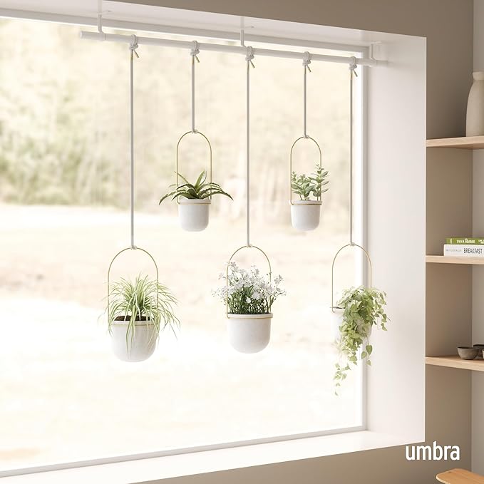 Umbra Triflora Hanging Planter for Window, Indoor Herb Garden, Set of 5, White/Brass