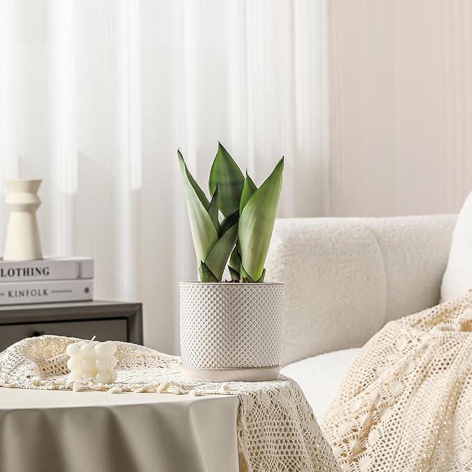 6 Inch Plant Pots: Ceramic Planter with Drainage Hole & Saucer - Flowerpot for Indoor & Outdoor Plants - Beaded Embossed Design White - with Separate Tray