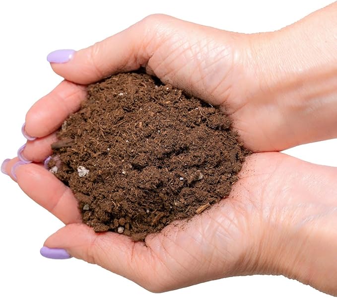 Gardenera's Expert Formulated Soil Mix for Tangerine Trees : The Ideal Growing Medium for Indoor Citrus Trees - 10 Quart