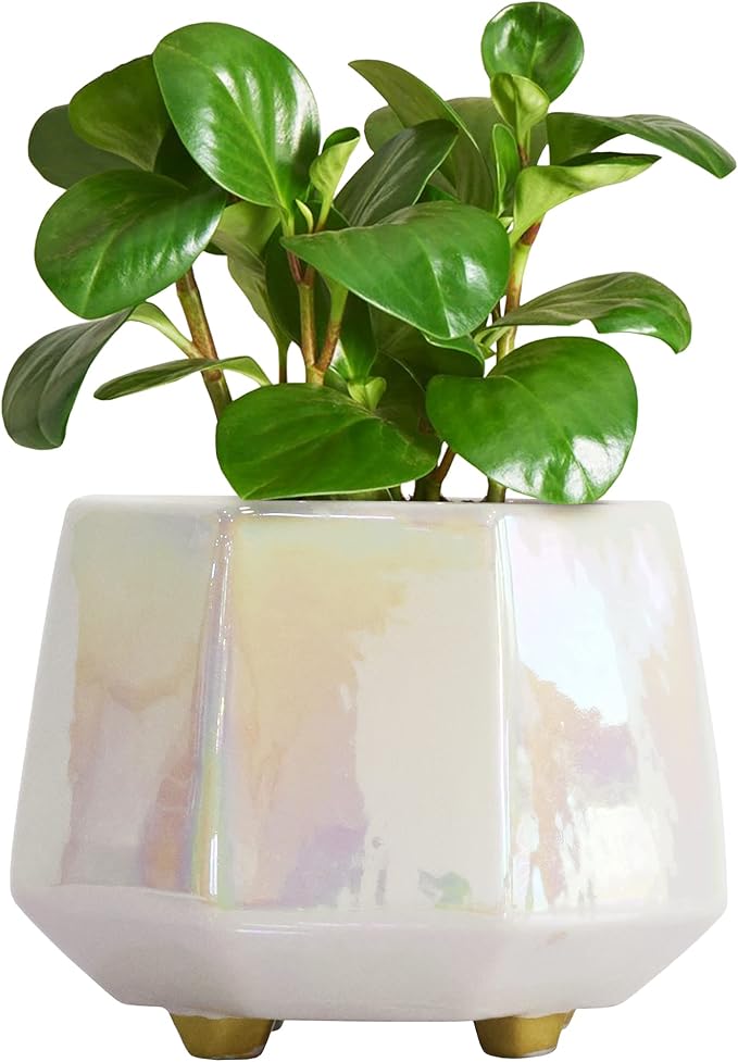 6 Inch Ceramic Planter for Indoor Plants - Plant Pots with Drainage Hole - Modern Minimalist Flower Pot for Succulents and Herbs