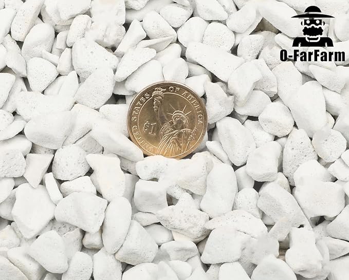 Chunky Perlite Bulk, Horticultural Pearlite Coarse Perlite for Plants Indoor, Additive Conditioner Mix, Improve Drainage and Ventilation, Help Root Growth(5-10mm, 10qt)