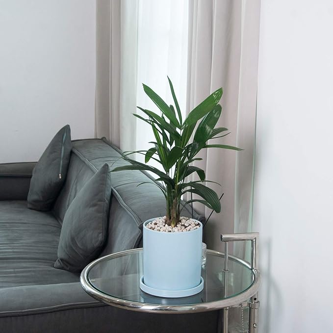 Planters for Indoor Plants Ceramic Flower Succulent Plant Pots with Drain Hole Saucer Decor for Home Office (6 inch Blue)