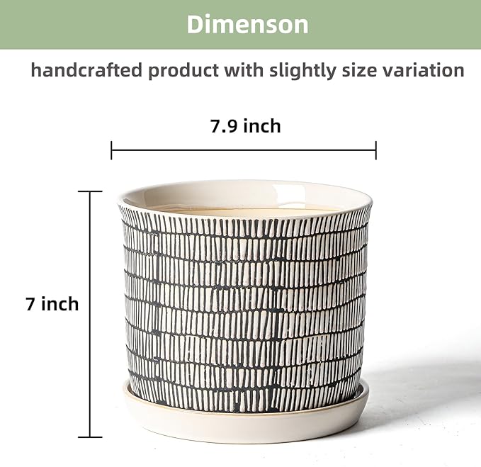 8 Inch Plant Pot: Ceramic Planter with Drainage Hole & Saucer - Cylinder Flowerpot for Indoor & Outdoor Plants - with Separate Tray for Home & Office - Striped Design