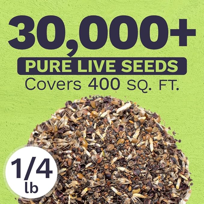 California Wildflower Mixture - Bulk 1/4 Pound Bag - Over 30,000 Native Seeds - Open Pollinated and Non GMO