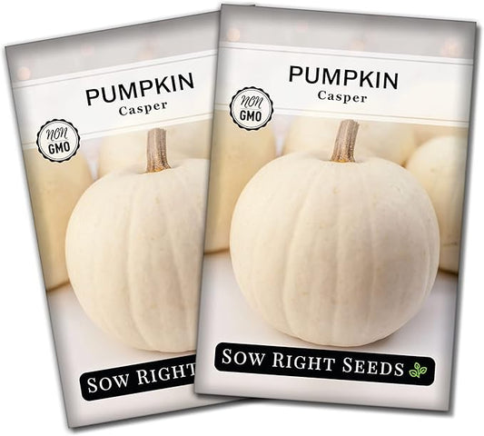 Sow Right Seeds - Casper Pumpkin Seed for Planting - Non-GMO Heirloom Packet with Instructions to Plant a Home Vegetable Garden - Striking White Variety - Autumn Decor or Unique Jack o Lanterns (2)