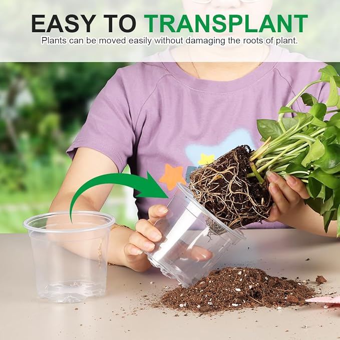 100 Pack 4 Inch Clear Plant pots with Drainage Holes, Transparent Nursery Seeding Pots, Flexile Seeds Starter Pots, Seeds Germination (4Inch,100P,Clear)