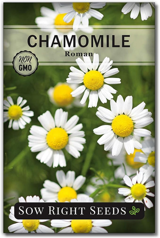 Sow Right Seeds - Roman Chamomile Seeds for Planting - Non-GMO Heirloom Packet with Instructions to Grow an Herbal Tea Garden - Indoors or Outdoor - Low Growing with Small Daisy-Like Blooms (1)