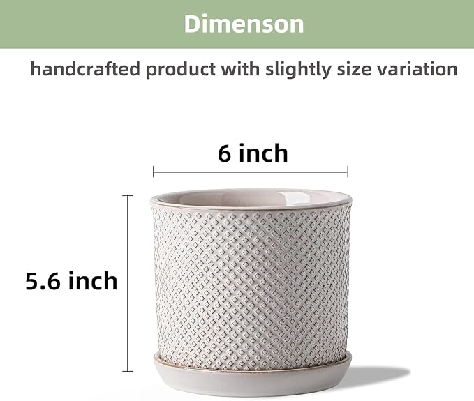 6 Inch Plant Pot: Ceramic Planter with Drainage Hole & Saucer for Indoor Outdoor Plants - Flowerpot with Bonded Tray for Home Office - Beaded Embossed Style, Cream White