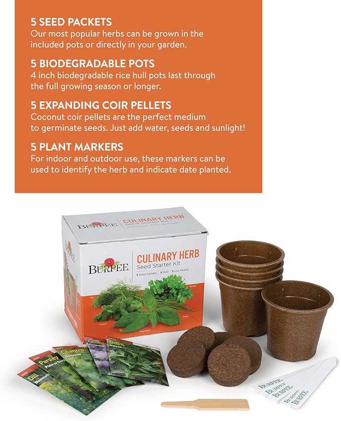 Burpee Culinary Garden Starter Kit Packets, 5 Pots, 5 Coir Pellets & 5 Plant Markers Non-GMO Herb Seeds: Cilantro, Dill, Parsley, Sweet Basil & Chives