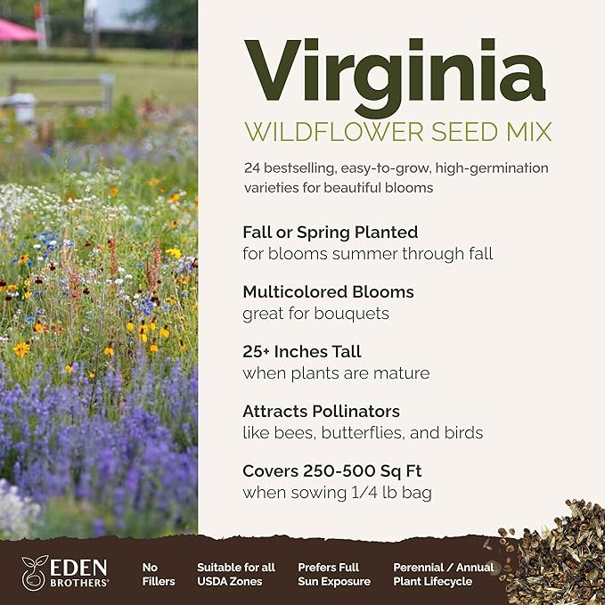 Eden Brothers Virginia Wildflower Mixed Seeds for Planting, 1/4 lb, 120,000+ Seeds with Five Spot, African Daisy | Attracts Pollinators, Plant in Spring or Fall, Zones