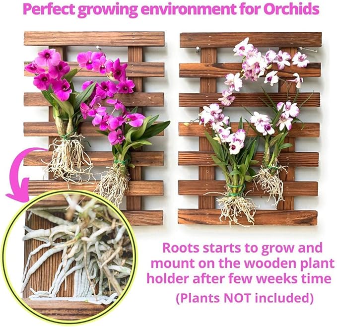ShopLaLa Wall Planter - 2 Pack Wooden Orchid Planter Frame Display Outdoor Plants, Wall Mount Air Plants Succulent Holder Hanger, Vertical Garden Plant Wall Decor Macetas para Orquideas 15.7" (40cm)