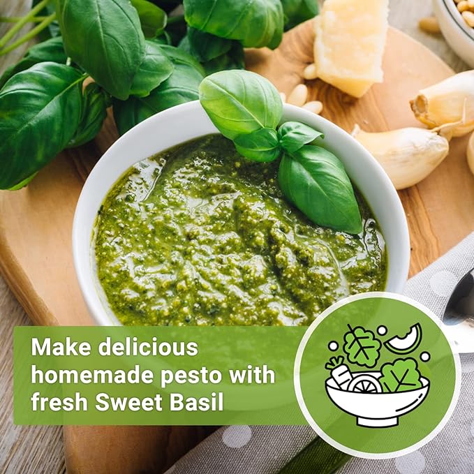 Sow Right Seeds - Genovese Sweet Basil Seed for Planting - Non-GMO Heirloom Packet with Instructions to Plant and Grow a Kitchen Herb Garden - Indoors or Outdoor - Great for Hydroponic Gardening (4)