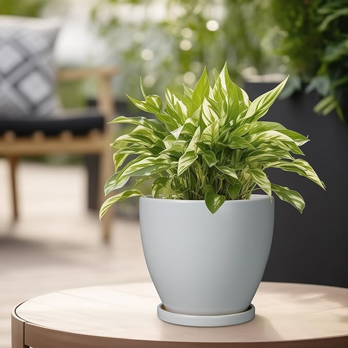 6 Inch Planter - Ceraimc Pots for Indoor Outdoor Plants Round Planters Modern Flower Pot with Drainage and Tray Home Garden Decor Brown