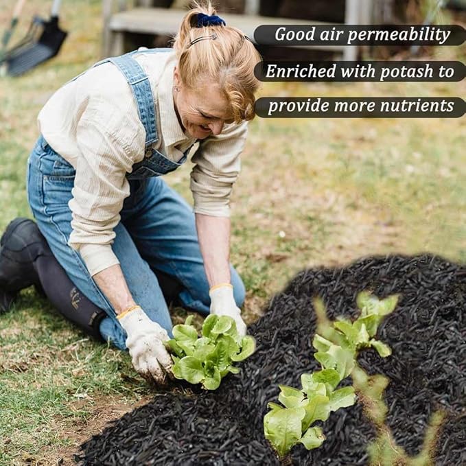 Horticultural Charcoal, Rice Husk Natural Activated Charcoal for Plants Indoor Biochar Soil Amendment Organic for Terrariums - 2.2 lbs