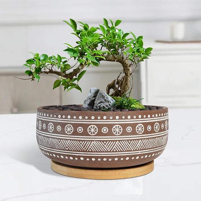 8 Inch Terracotta Succulent Planter Pot with Drainage Hole and Bamboo Tray, Brown Round Shallow Bonsai Pot for Indoor Plants