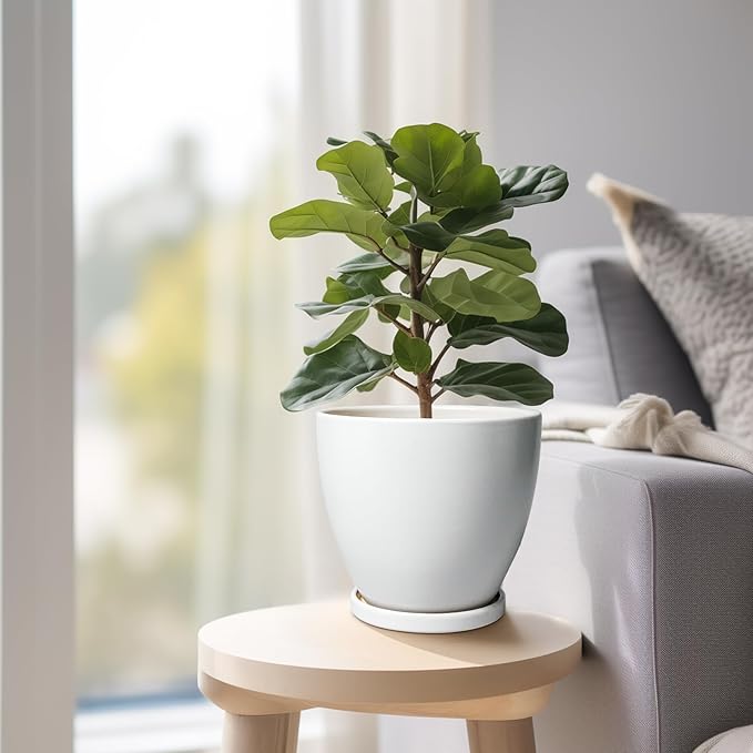 Ceramic Pots for Plants - 6 Inch Plant Pot with Drainage Hole and Saucer, Succulent Round Flower Planters for Indoor, Home Decor, White