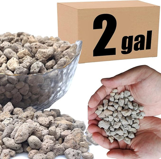 Organic Pumice for Bonsai and Horticultural 100% Natural (2 gallons, 3/8 inch)