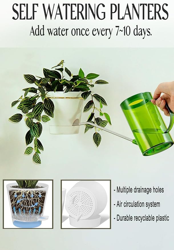 Wall Planters for Indoor Plants 3 Pack 6 Inch Flower Pot Holders Metal Ring with Self Watering Pots Wall Hanging Planters Gold-White