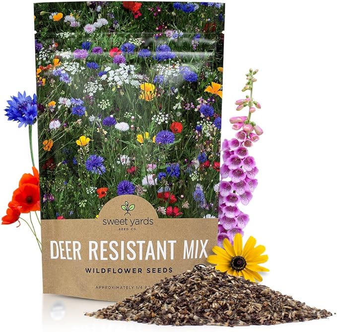 Deer Resistant Wildflower Seed Mixture - Bulk 1/4 Pound Bag - Over 60,000 Deer Tolerant Seeds - Open Pollinated and Non GMO