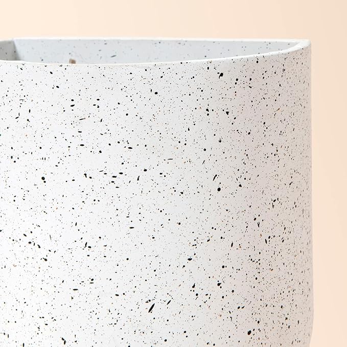 LA JOLIE MUSE Wall Hanging Planters for Indoor Plants，Hanging Flower Pots for Air Plants Succulent, Set of 2, 6 Inch, Speckled White