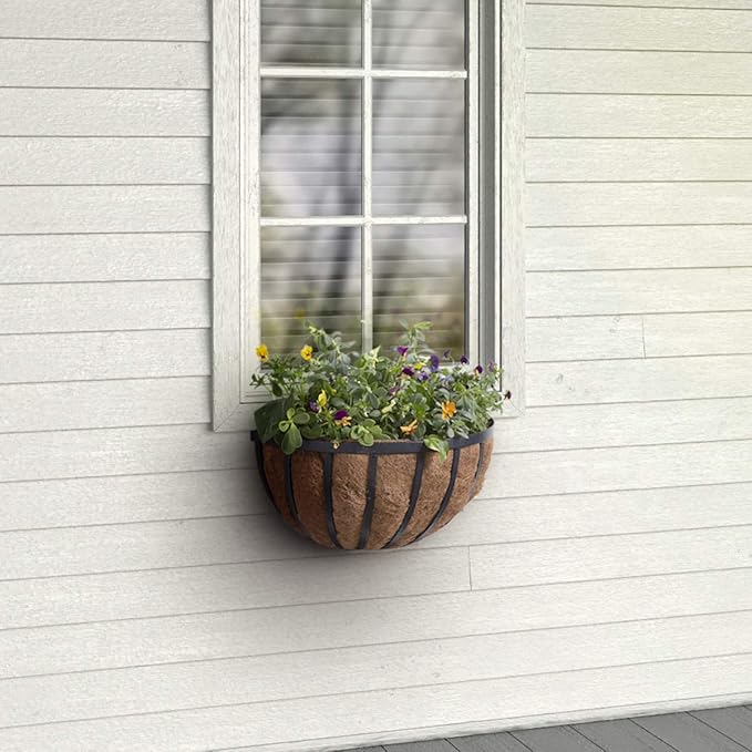 Arcadia Garden Products 1528 Solstice Series Wall Manger Planter, 20 inches, 20"