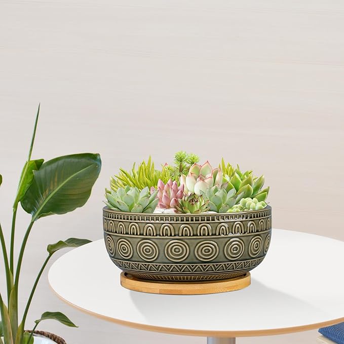 8 Inch Ceramic Succulent Planter Pot with Drainage Hole and Saucer Round Shallow Planter for Indoor Plants, Gray-Green