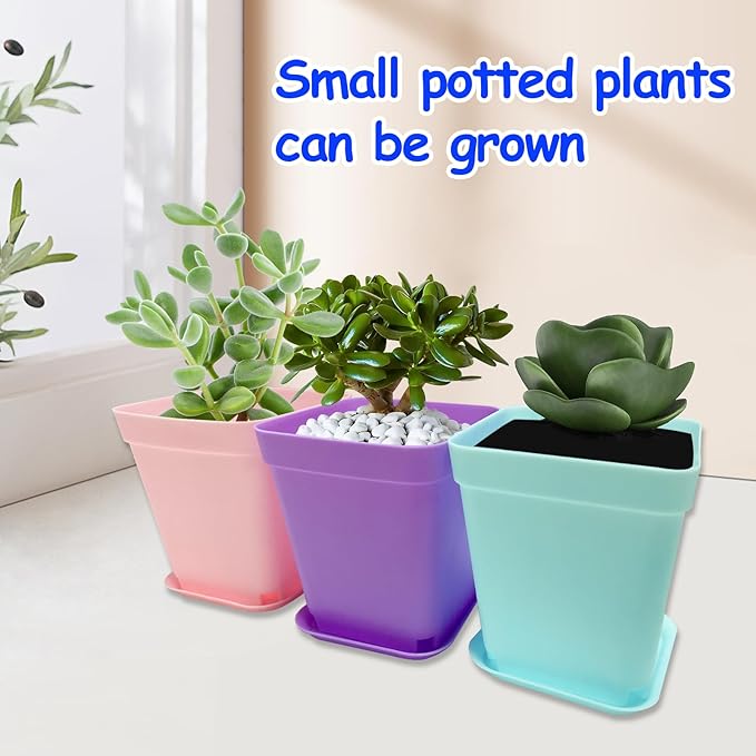 56PCS 3inch Plastic Nursery Pots,Square Plants Seedling Pots,Multicolor Small Transplanting Flower Pots for Indoor Outdoor,Succulents,Office Home Garden and Balcony Decor(8 Colors)