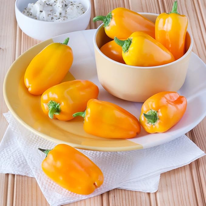 Bonnie Plants Orange Snacking Pepper 19.3 oz. 4-pack