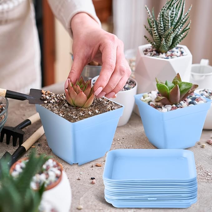 100 Pieces 4 Inch Flower Pots Square Plants Nursery Pot Plastic Plant Seedling Pots Nursery Transplanting Planter Container with Saucer for Indoor Herbs Succulents Balcony Garden Office (Blue)