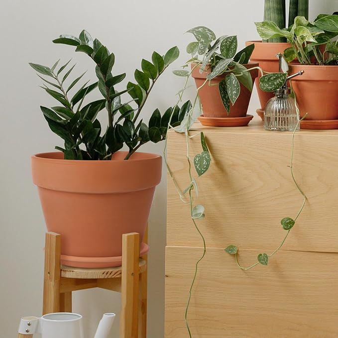 INGOFIN Terracotta Pot with Saucer - 12 Inch Ceramic Clay Pot for Plants with Drainage Hole, Terra Cotta Pot with Tray for Indoor Outdoor Plants