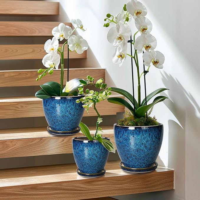 Ceramic Plant Pot, 6 Inch Ceramic Planter Pot with Drainage Hole and Saucer, Succulent Round Flower Pot for Indoor Plants Outdoor, Blue