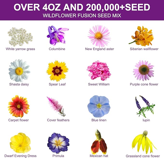 200,000 Wildflower Seeds Mix Bulk - Includes 16 Perennial Wildflower Seeds for Indoor & Outdoor Gardens - Premium Garden and Wildflower Seeds Combo