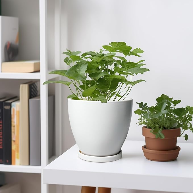 Ceramic Pots for Plants - 6 Inch Plant Pot with Drainage Hole and Saucer, Succulent Round Flower Planters for Indoor, Home Decor, White