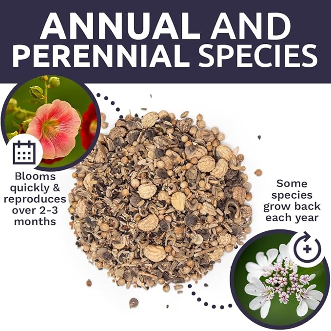 Wildflower Seeds Edible Flowers Mix - 1 Ounce Over 7,000 Open Pollinated Annual and Perennial Seeds