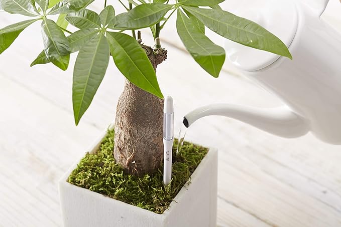 Aquameter - Medium - Black - Bundle of 5 - Leave-in Soil Moisture Meter for Potted Plants - Plant Water Sensor - Refillable