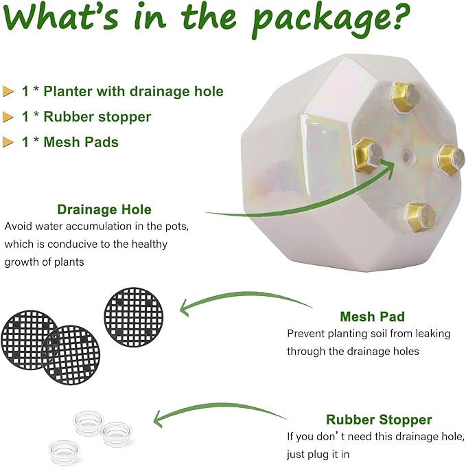 8 Inch Ceramic Planter for Indoor Plants - Plant Pots with Drainage Holes - Modern Minimalist Flower Pot for Succulents and Herbs