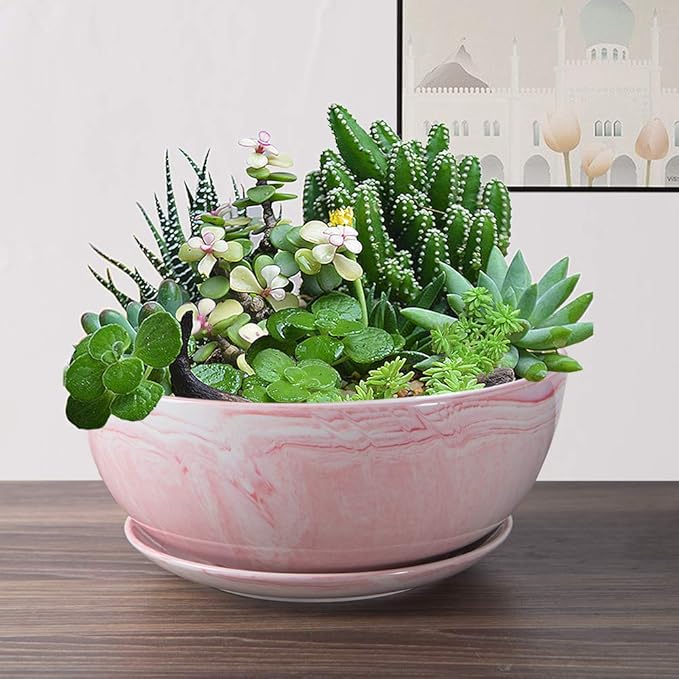 G EPGardening Large Ceramic Succulent Planter Pot with Drainage Hole and Saucer Large Marble Flower Pot for Plants Round Bonsai Planter Pot Indoor Outdoor Pink