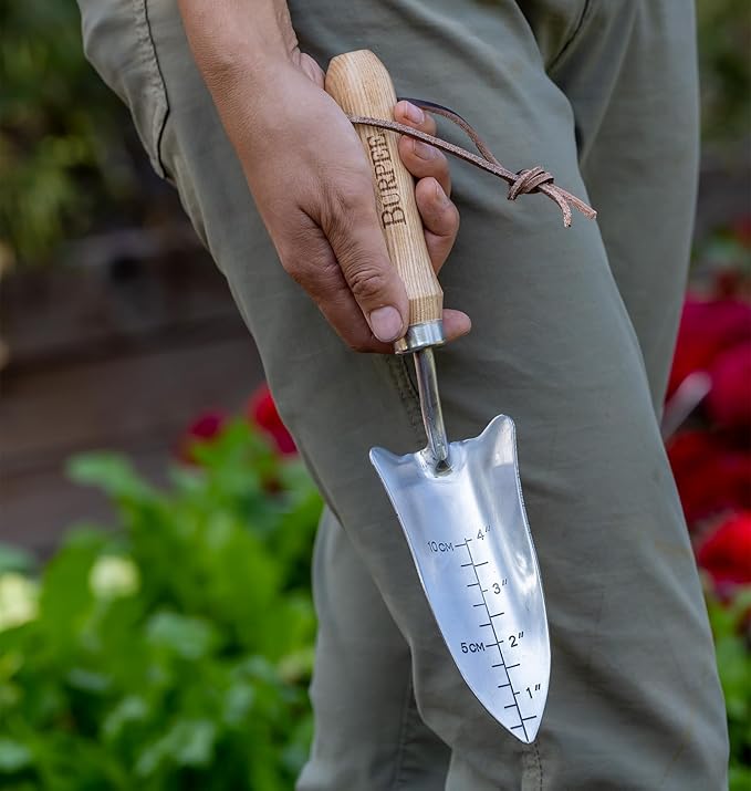 Burpee 13" Stainless Steel Transplanter | Durable Long Lasting Garden Tool | Leather Wrist Strap 5" Handle, Oak