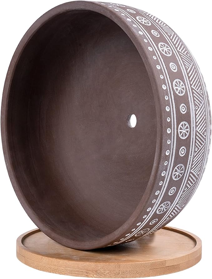 8 Inch Terracotta Succulent Planter Pot with Drainage Hole and Bamboo Tray, Brown Round Shallow Bonsai Pot for Indoor Plants